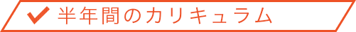 半年間のカリキュラム