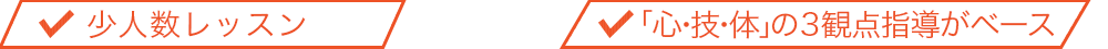 少人数のレッスン　「心・技・体」の3観点指導がベース